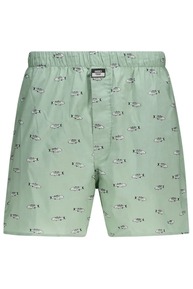 Cheap AmericaToday Boxershort Thomas P seagreen