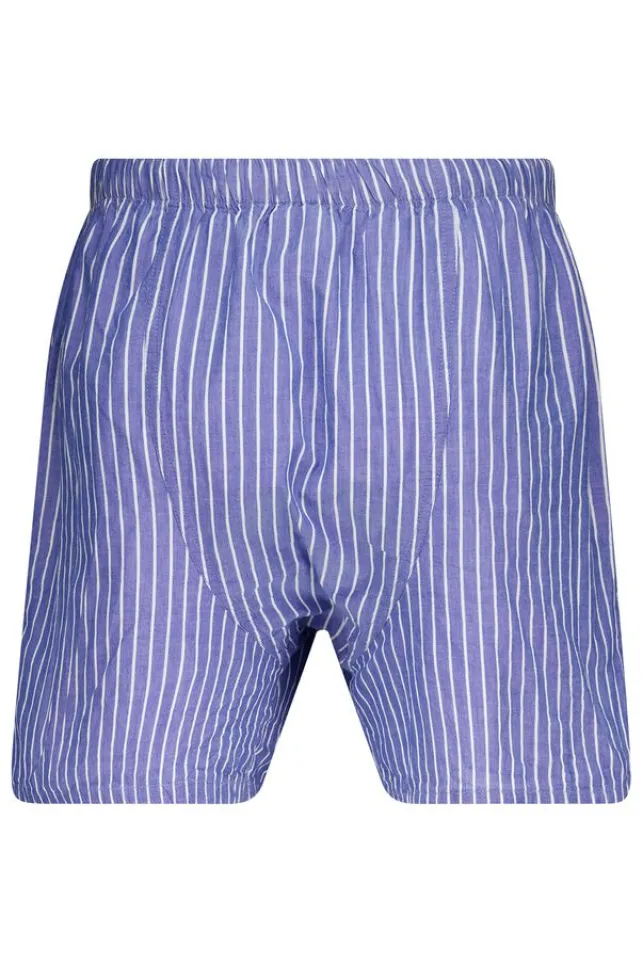 Best Sale AmericaToday Boxershort Thomas P White/blue