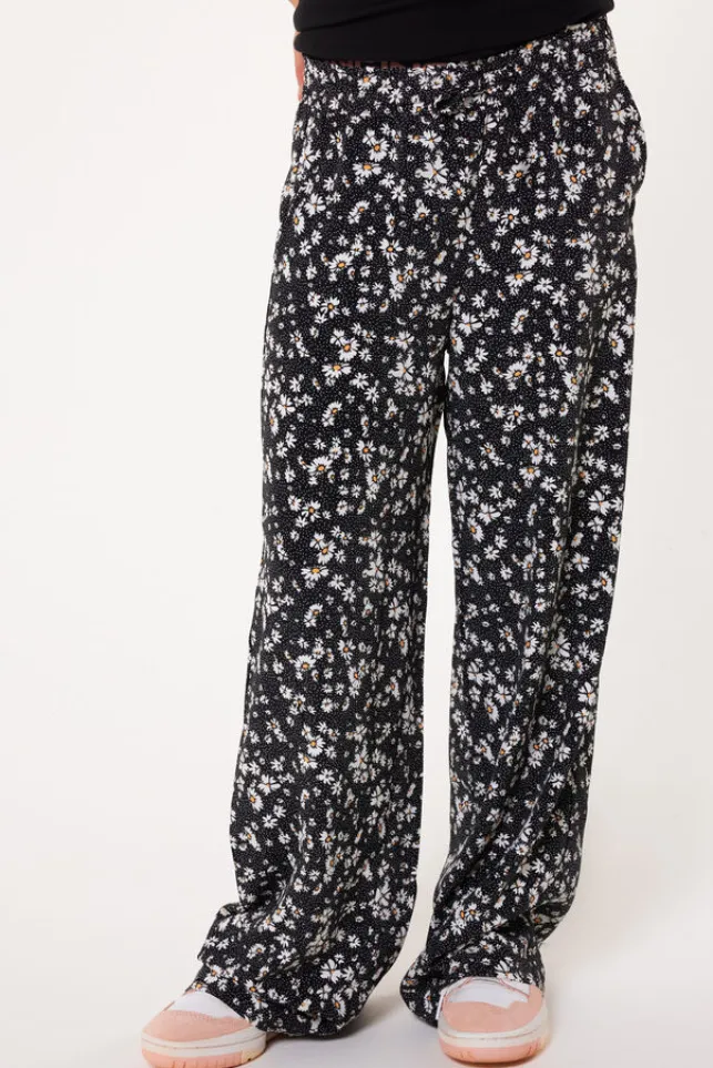 Best AmericaToday Broek Paxie jr flower